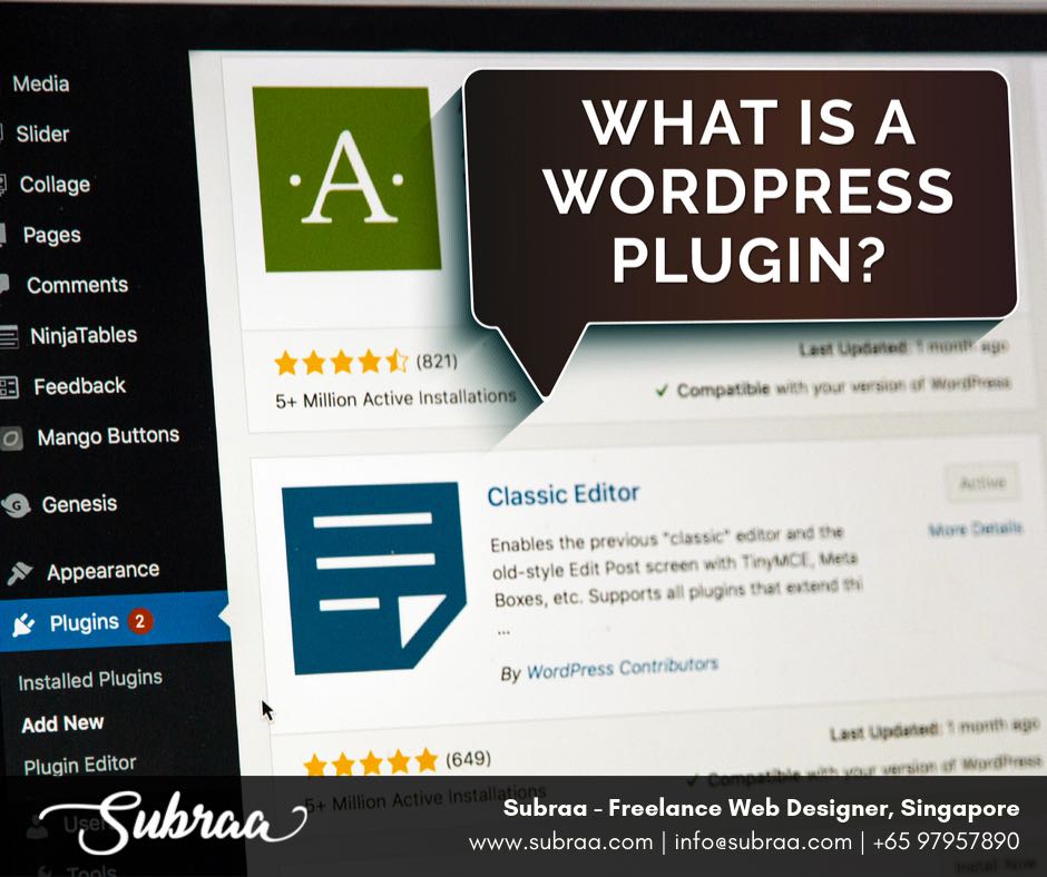 What-is-a-WordPress-plugin-by-Subraa-Freelance-WordPress-Developer-Singapore