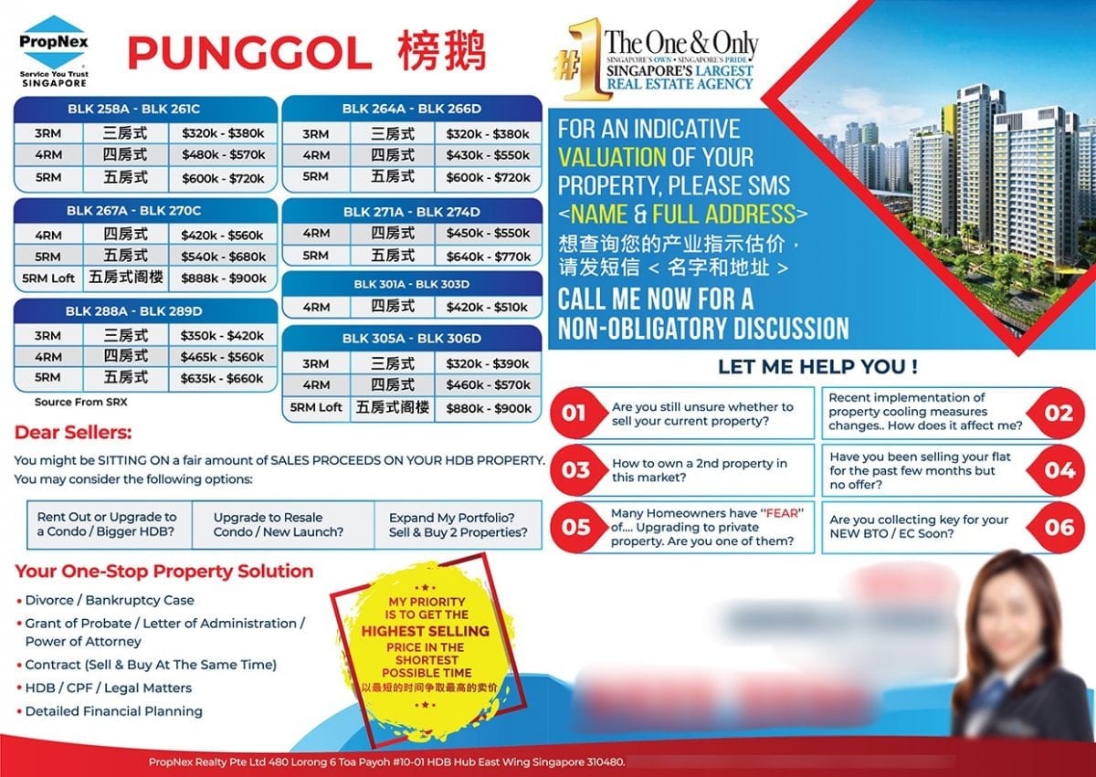 Flyer Design Singapore for Real Estate Agent Sell Property 1