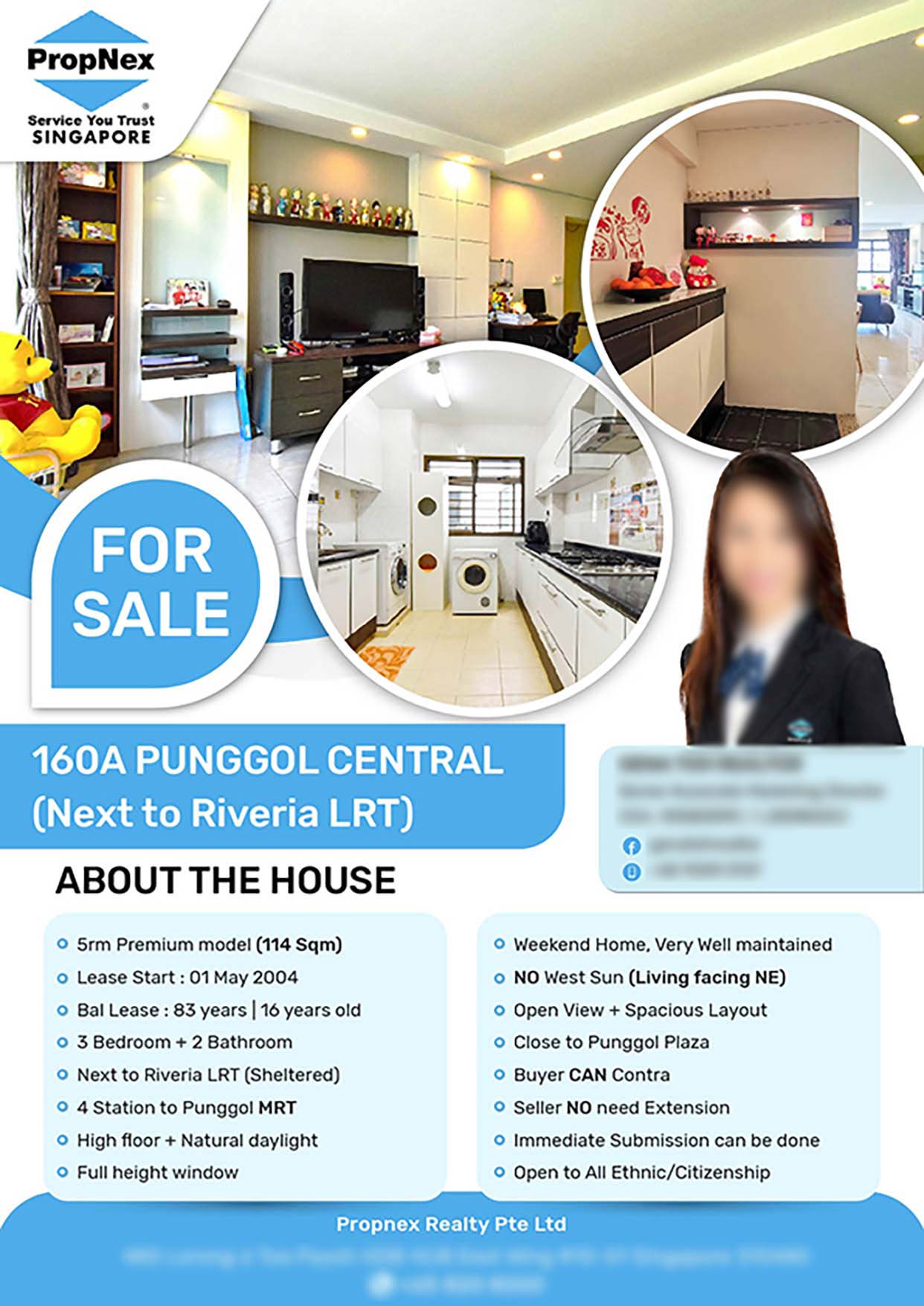 Flyer Design for Property Agent Singapore