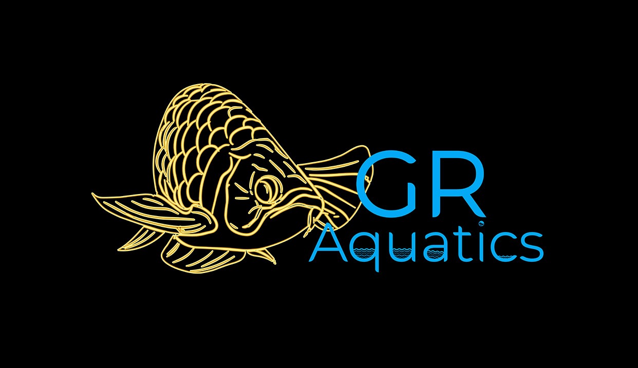 Aquarium Shop Logo Design in Singapore