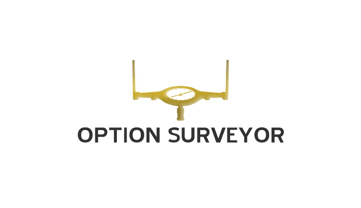 Surveyor Logo Design